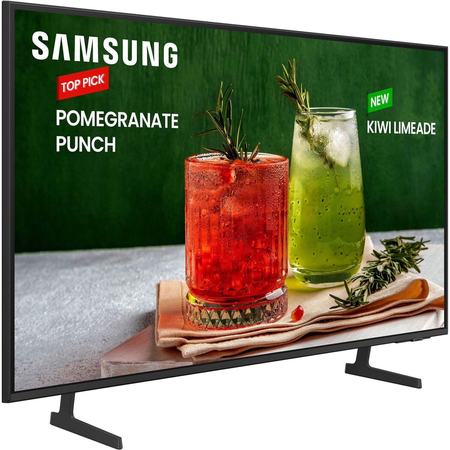 SAMSUNG PRO TV BE55D-H