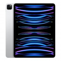 IPAD PRO 12.9 6TH GEN WIFI 256GB SILVER