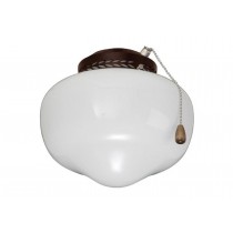 SCHOOLHOUSE LIGHT FIXTURE IN ORB
