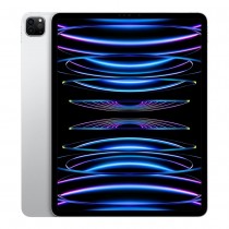 IPAD PRO 12.9 6TH GEN WIFI 256GB SILVER