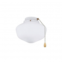 CFSLKPFWW - SCHOOLHOUSE LIGHT FIXTURE
