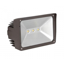 LED FLOOD LIGHT W/THREADED KNUCKLE W/CLR