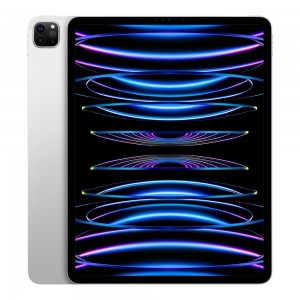 IPAD PRO 12.9 6TH GEN WIFI 256GB SILVER