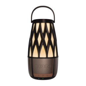 Ion Tahiti Speaker Bronze Single