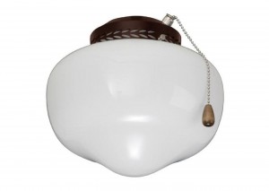 SCHOOLHOUSE LIGHT FIXTURE IN ORB