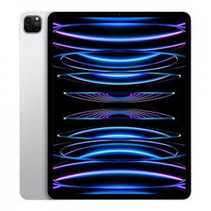 IPAD PRO 12.9 6TH GEN WIFI 256GB SILVER