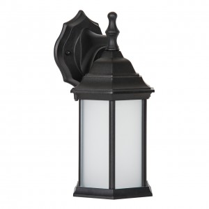 12-1/4 IN H LED WALL LANTERN 9W DOB 460L