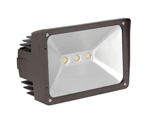 LED FLOOD LIGHT W/THREADED KNUCKLE W/CLR