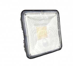 Sunset Surface Mounted LED Canopy Light, 55W, 4000K, 7150 Lms 100-220v
