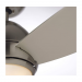 52 IN CURVA LED INDOOR IN BRUSHED STEEL