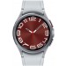 GW6 Classic 43mm BT Silver