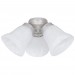 3 LT 60W CB ALABASTER GLS TURTLE FAN LT