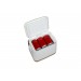 6-Can Mini Personal Fridge Cooler White