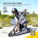Swagger 2 PLUS Foldable Electric Scooter