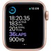 APPLE WATCH S6 40 GLD AL PS SP GPS