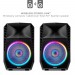 ION TOTAL PA SPARTAN SPEAKER