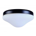 2 LIGHT OUTDOOR FIXTURE GH