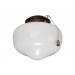 SCHOOLHOUSE LIGHT FIXTURE IN ORB