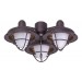 LK40VNB - BOARDWALK CAGE LIGHT KIT