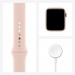 APPLE WATCH S6 40 GLD AL PS SP GPS