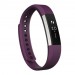 Fitbit FB406PMS Alta Plum Small