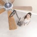 Hoover WindTunnel 2 Whole House Rewind