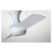 CF560SW - 54 IN DUO IN SATIN WHITE