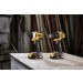 ATOMIC 20V MAX Cordless Brushless Compac