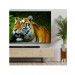 TCL Alto 8 2.1 Dolby Atmos Soundbar 