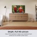 ROKU 40" TV FHD 1080P