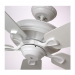 CF784SW - 60 IN CARRERA IN SATIN WHITE 