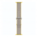 APPLE WATCH 38MM NYLON BAND YELLOW/GRAY