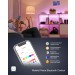 Brevo Light Bulb A19 e26 16mill color 2P