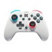 NINTEDO SWITCHPLATE WIRELESS CONTROLLER