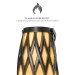 Ion Tahiti Speaker pair Black