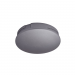 DORIAN ECO NO-LIGHT PLATE IN GRAPHITE