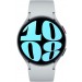 GW6 44mm BT Silver
