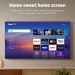 ROKU 65" SMART TV