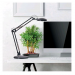 Tensor LED Desk Lamp 19" Black 10C-005
