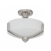 REPL GLS FOR SEMI-FLUSH F22102,F22106