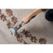 Hoover Power Scrub Elite Pet Plus
