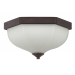 14,5IN DUMONT 2LTS FLUSH MOUNT