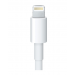 APPLE LIGHTNING TO 30-PIN ADAPTER (0.2M)