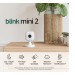 BLINK 2PK OUTDOOR CAMERA WITH MINI 2 CAM