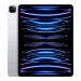 IPAD PRO 12.9 INCH 6TH GEN WIFI 256GB