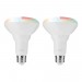 ENERGIZER SMART 2PK BR 30 BULB