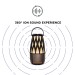Ion Tahiti Speaker Bronze Single