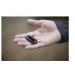 Fitbit One Wireless Activity Sleep Tracker FB103BK