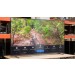 SONY 55" SMART TV